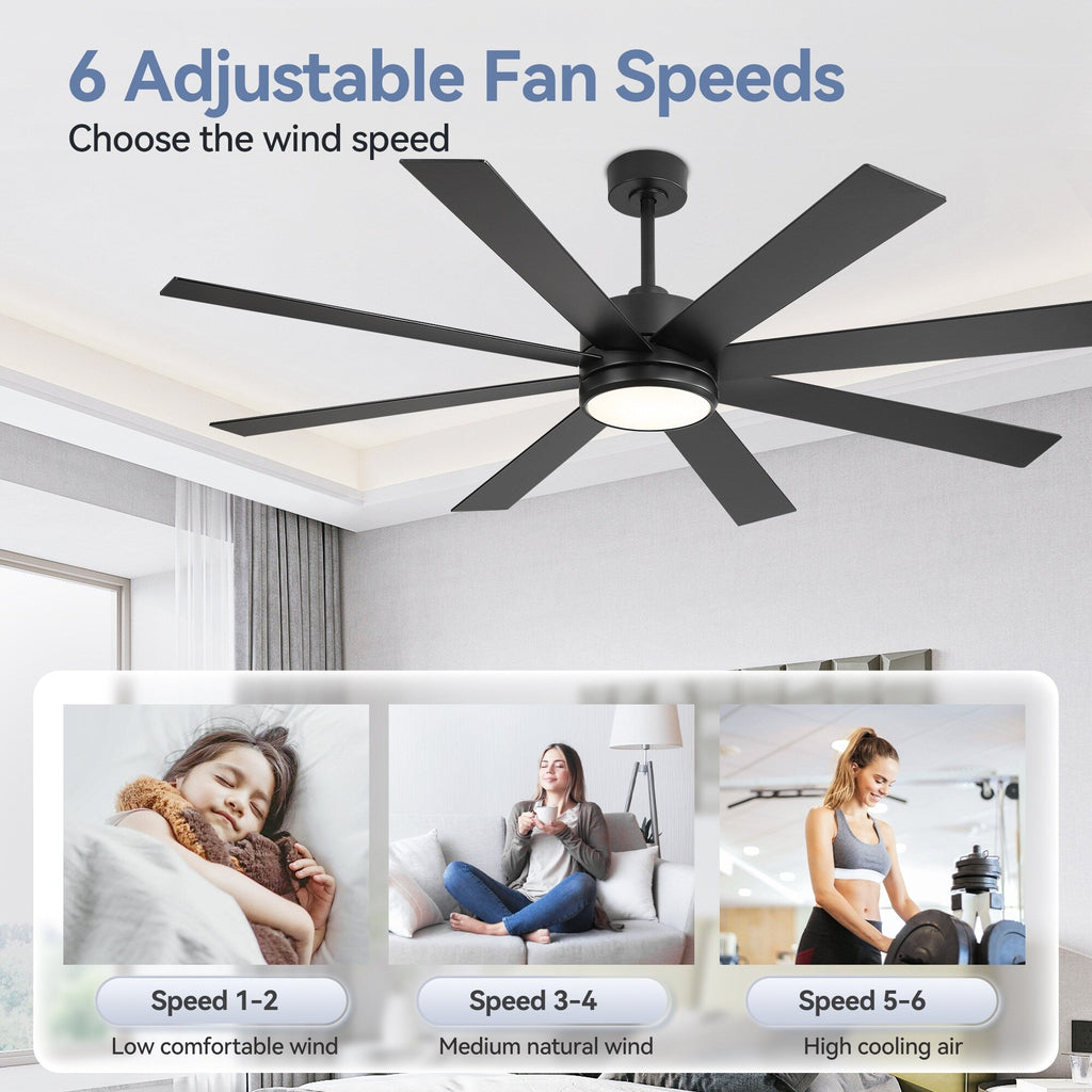 65 Inch 8-Blade Black LED Ceiling Fan with Light and Remote