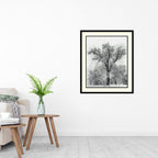 Framed Art Print 'Oak Tree, Snowstorm, Yosemite National Park-1948' by Ansel Adams 27 x 32-inch