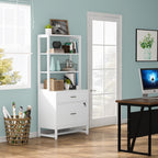 File Cabinet with 2 Drawer, Modern Filing Cabinet Printer Stand with Lock